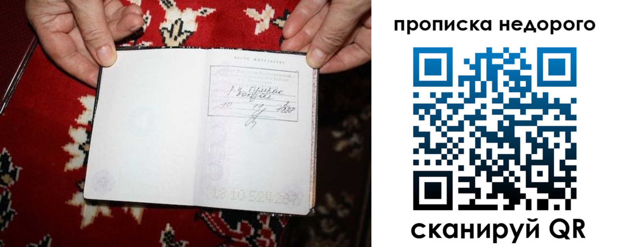 прописка гарантия в Жукове